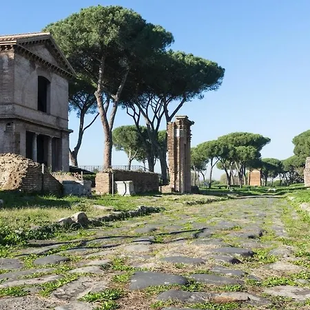 Sunflower Terrace - Rome And Castelli Romani Marino