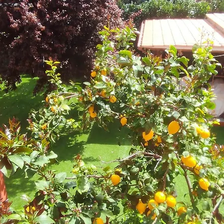 Lägenhet Sunflower Terrace - Rome And Castelli Romani